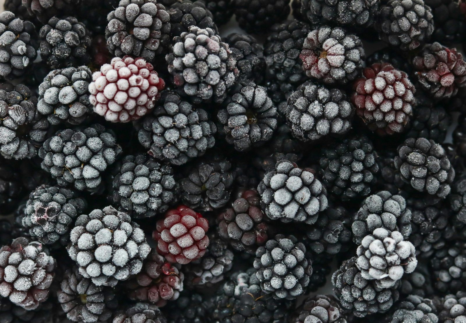 Close-up of fresh frozen blackberries covered in hoarfrost, showcasing texture and freshness.